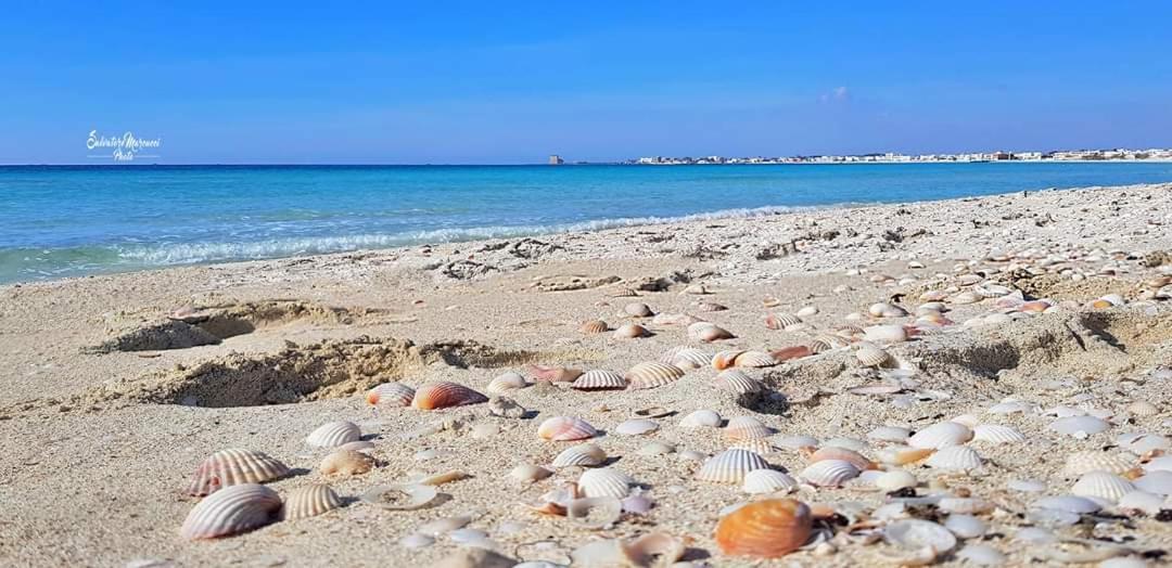 Masseria La Lizza - Ospitalità Rurale Lecce Exterior foto