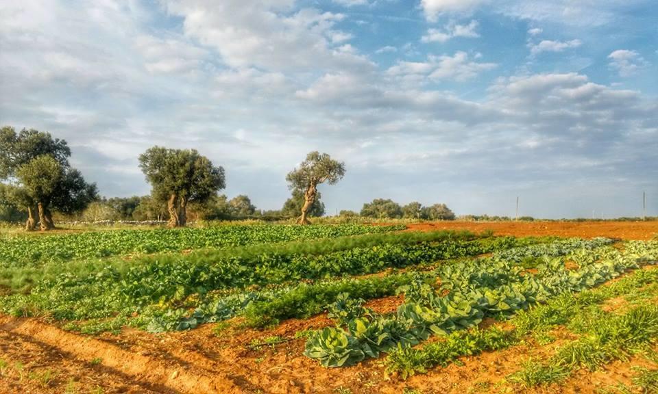 Masseria La Lizza - Ospitalità Rurale Lecce Exterior foto